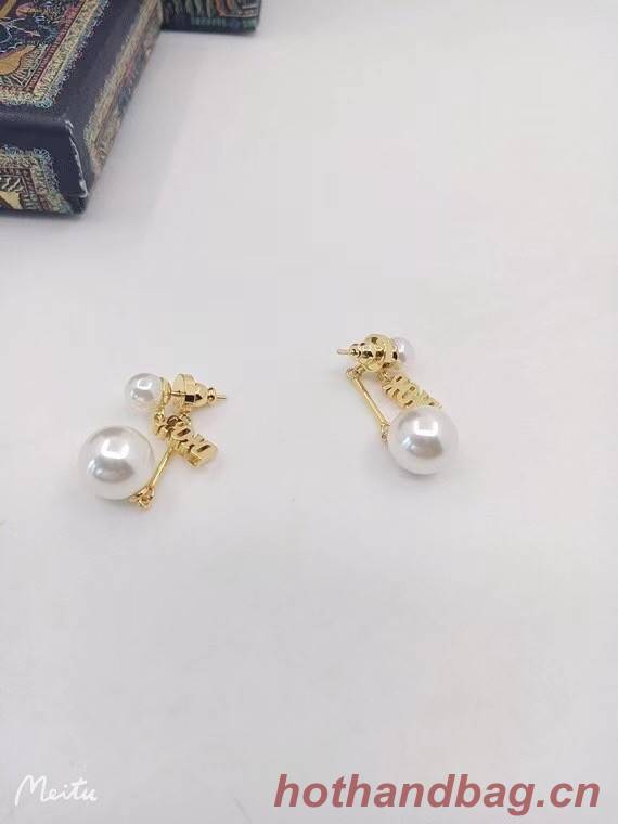 Dior Earrings CE6839