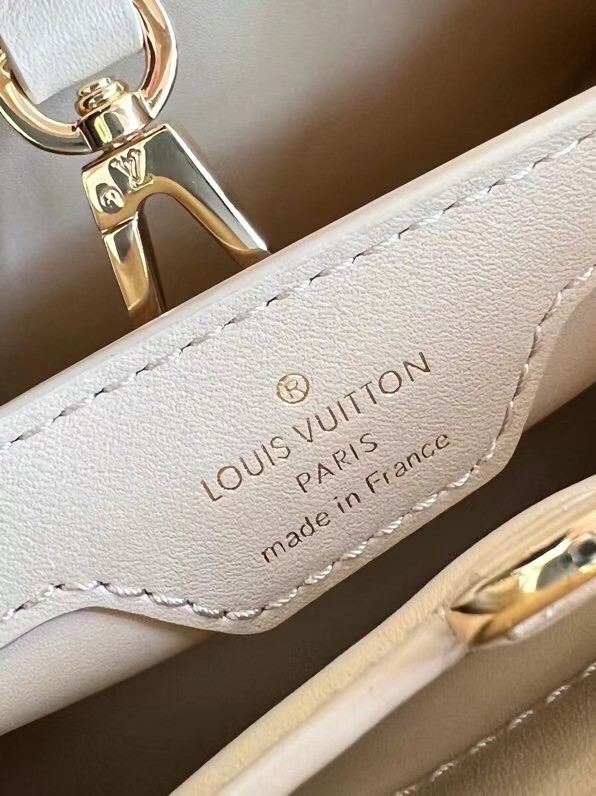 Louis Vuitton CAPUCINES PM M48864 apricot