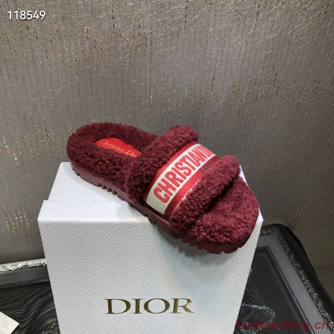 Dior Shoes Dior818AL-1