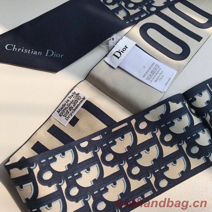 Dior Scarf CD00101 Dior Scarf CD00101