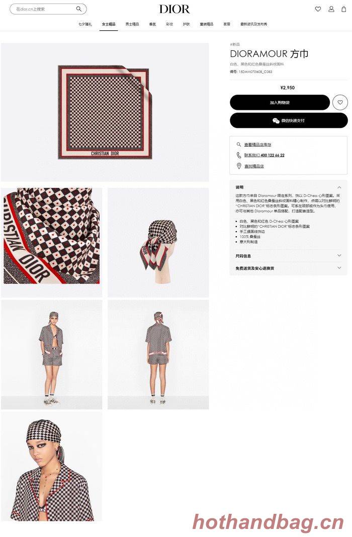 Dior Scarf CD00138 Dior Scarf CD00138