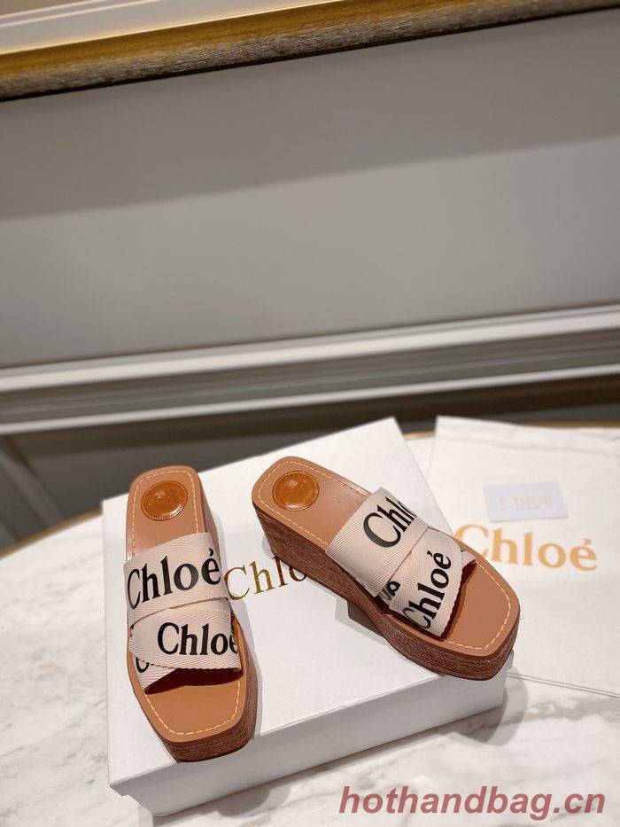 Chloe shoes CO00009