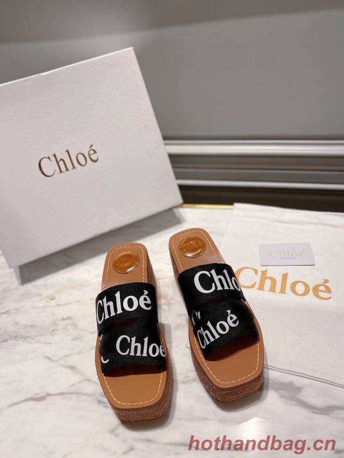 Chloe shoes CO00010