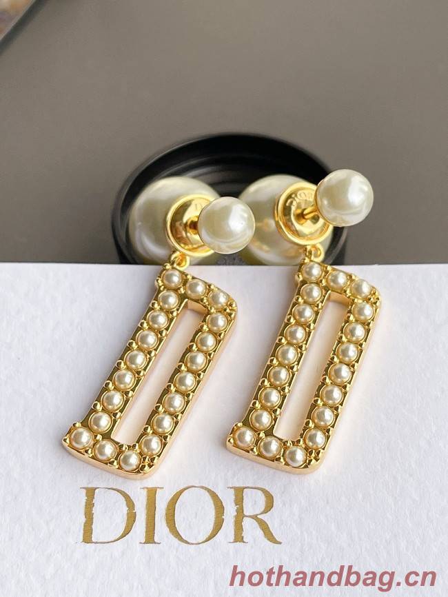 Dior Earrings CE7622