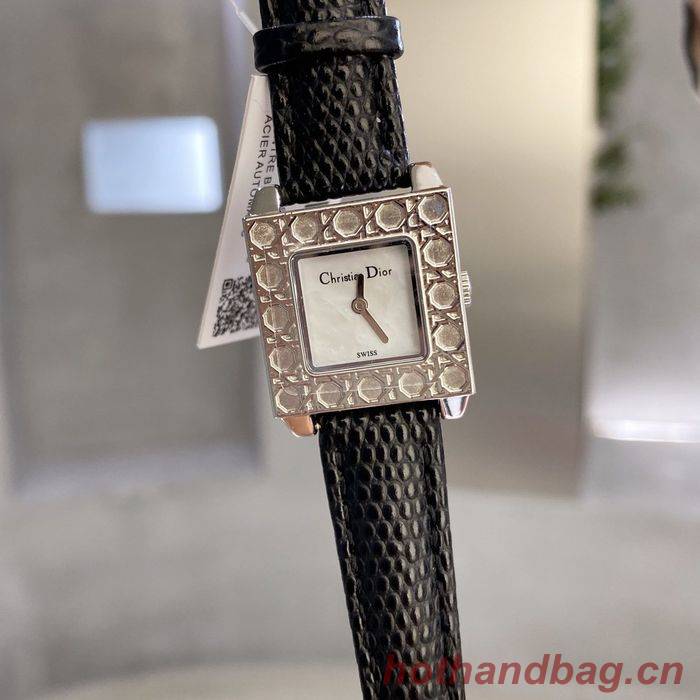 Dior Watch DRW00006-3