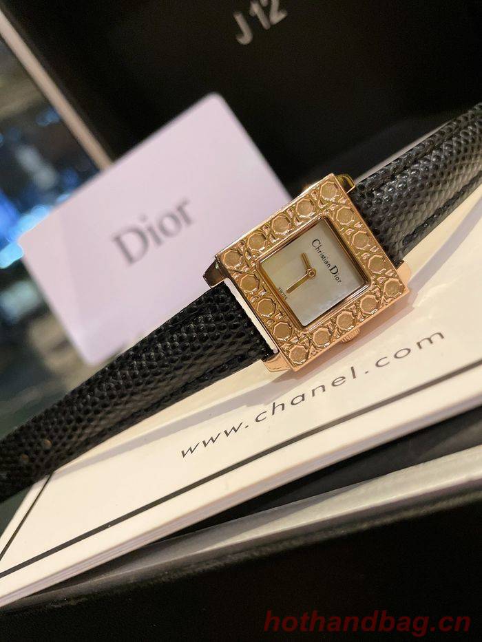 Dior Watch DRW00008-6