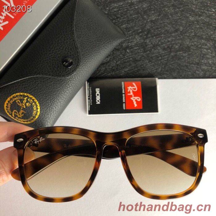 RayBan Sunglasses Top Quality RBS00299