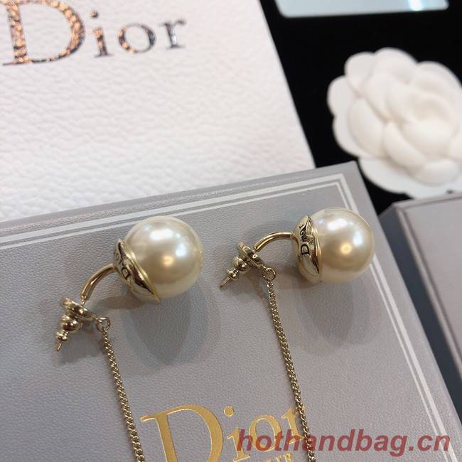 Dior Earrings CE8172
