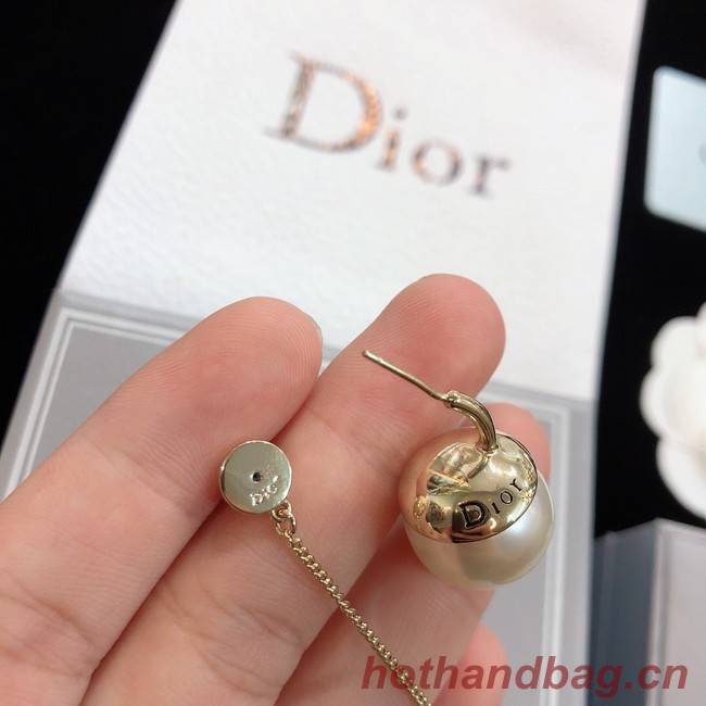 Dior Earrings CE8172