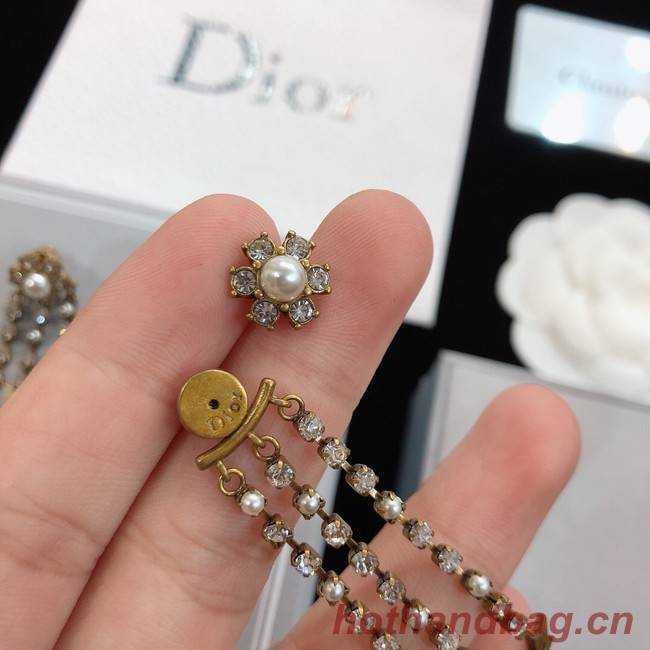 Dior Earrings CE8173