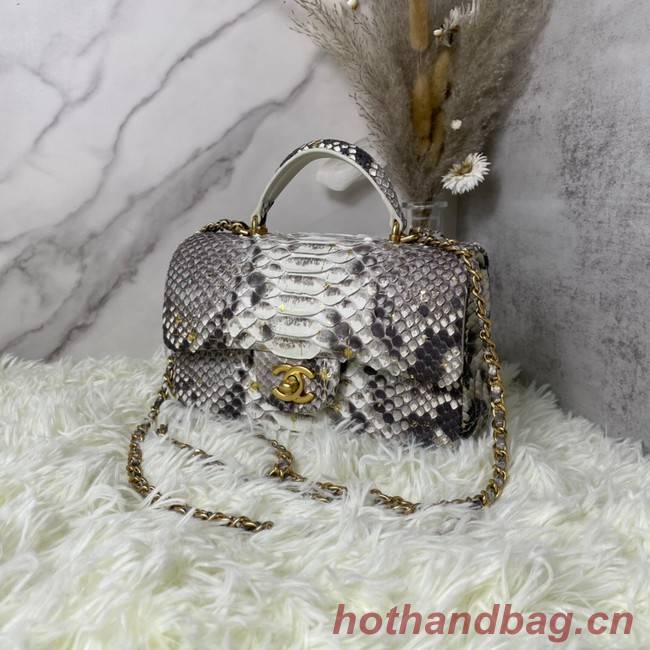 Chanel Snake skin mini flap bag with top handle AS2431 gray