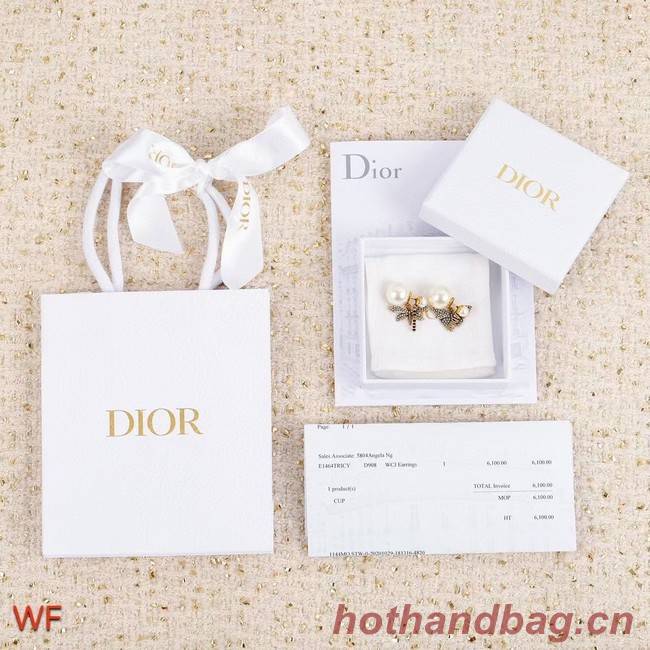 Dior Earrings CE8383
