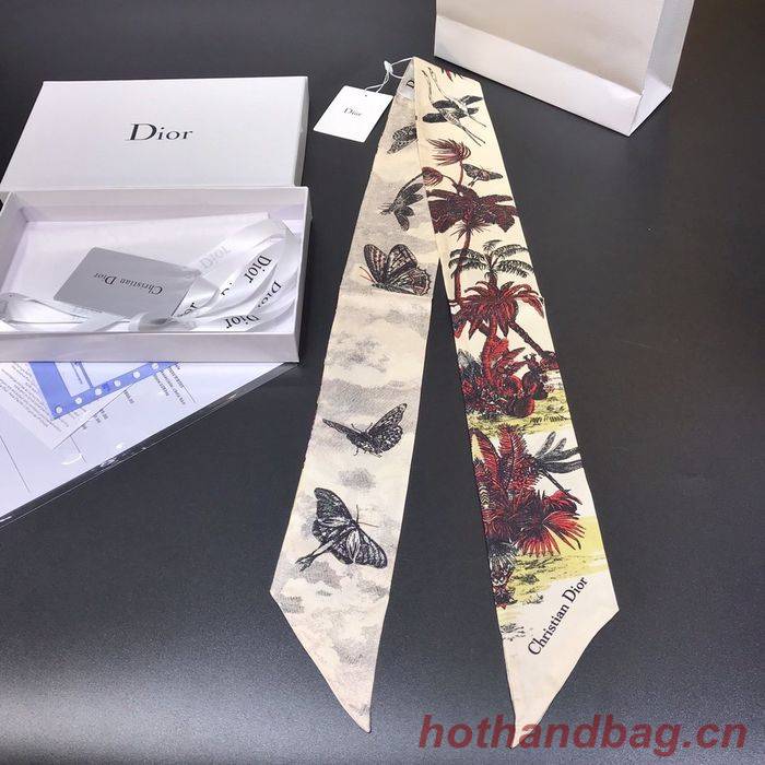 Dior Scarf DIS00001 Dior Scarf DIS00001