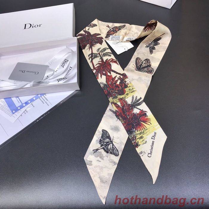 Dior Scarf DIS00001 Dior Scarf DIS00001