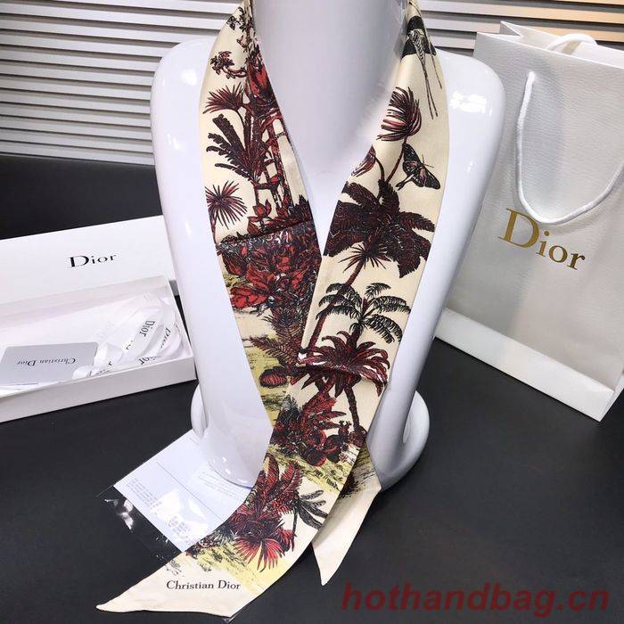 Dior Scarf DIS00001 Dior Scarf DIS00001