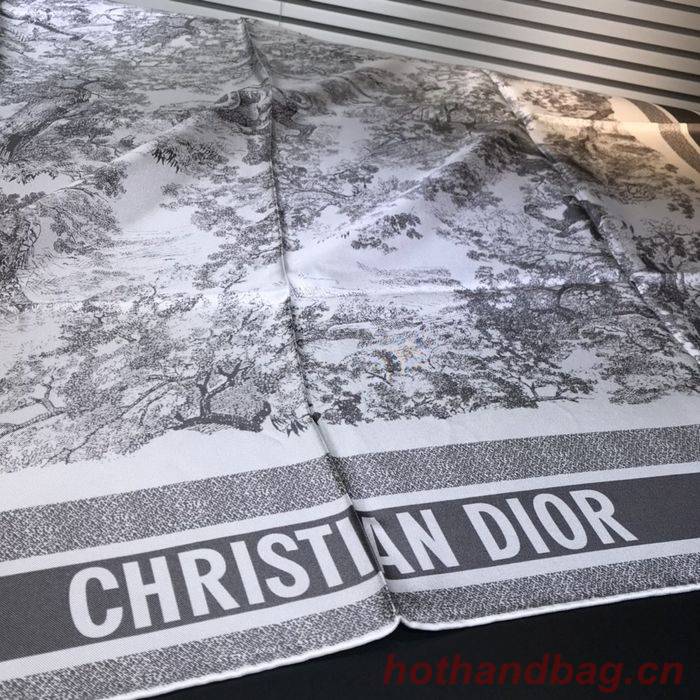 Dior Scarf DIS00061 Dior Scarf DIS00061
