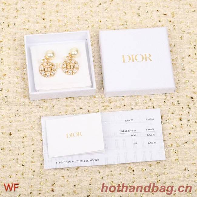 Dior Earrings CE8550