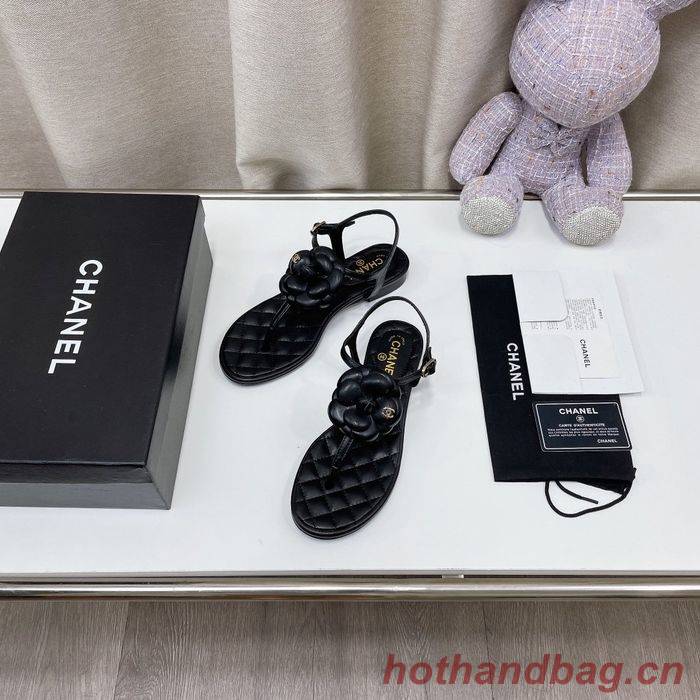 Chanel Shoes CHS00726