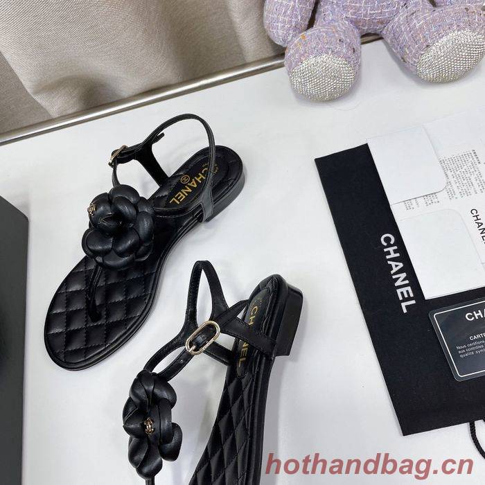 Chanel Shoes CHS00726