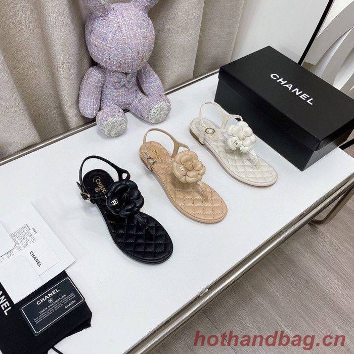Chanel Shoes CHS00727