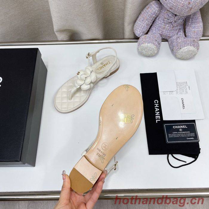 Chanel Shoes CHS00728