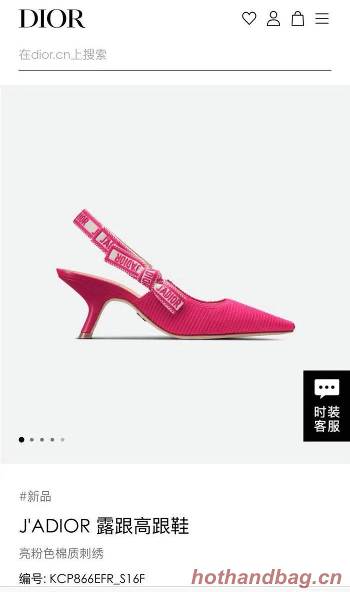 Dior Shoes DIS00033 Heel 6.5CM