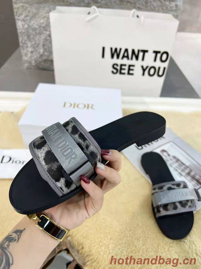 Dior Shoes DIS00149