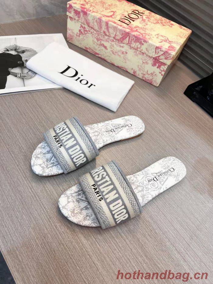 Dior Shoes DIS00193