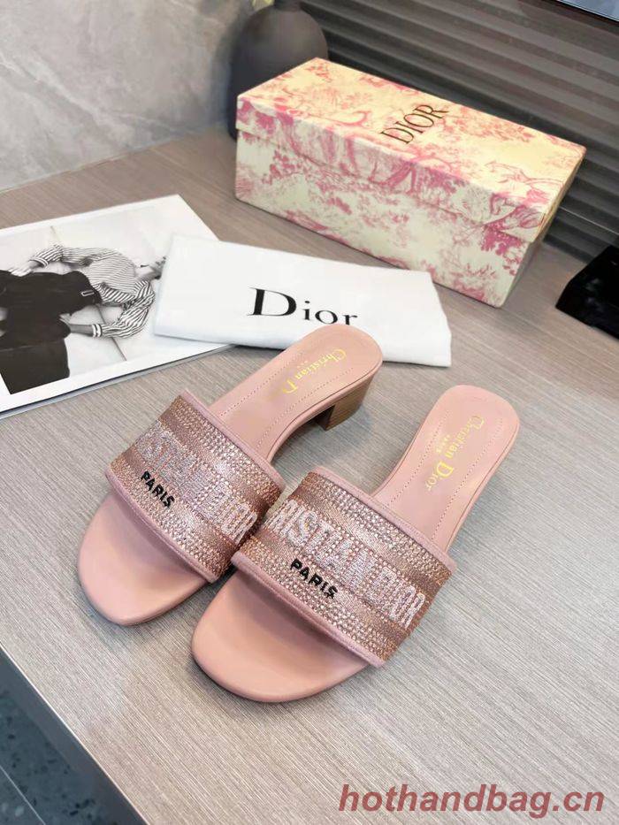 Dior Shoes DIS00196