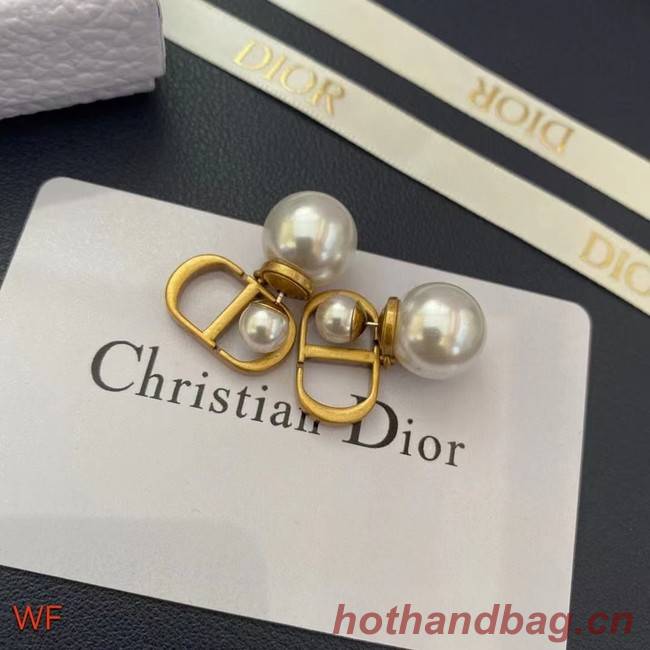 Dior Earrings CE8954