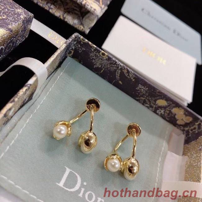 Dior Earrings CE9003