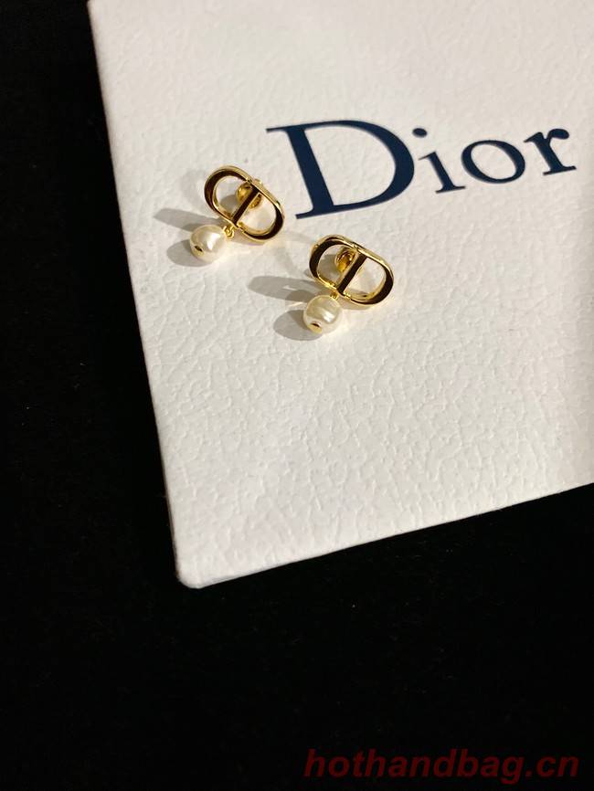 Dior Earrings CE9120