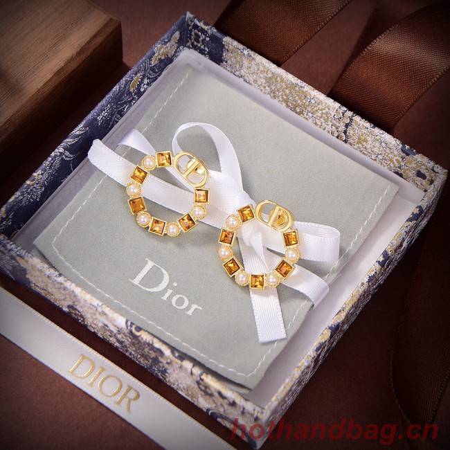Dior Earrings CE9310