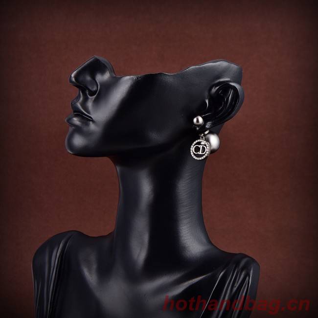Dior Earrings CE9311