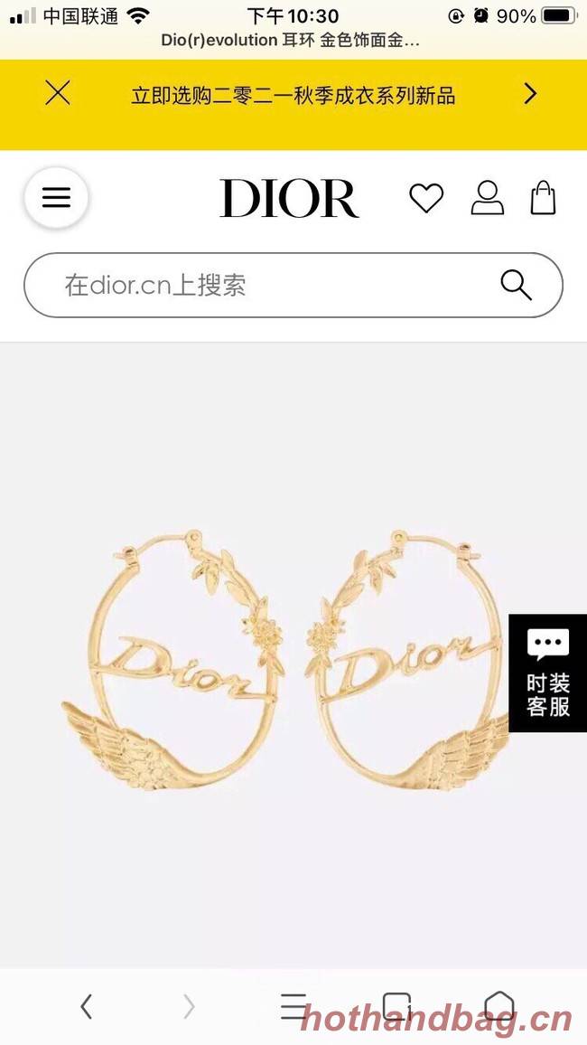 Dior Earrings CE9315