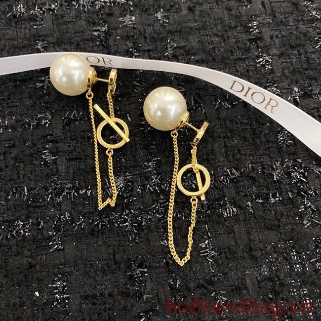 Dior Earrings CE9406