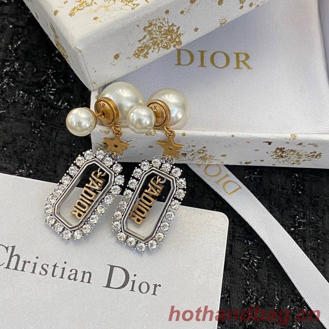 Dior Earrings CE9412