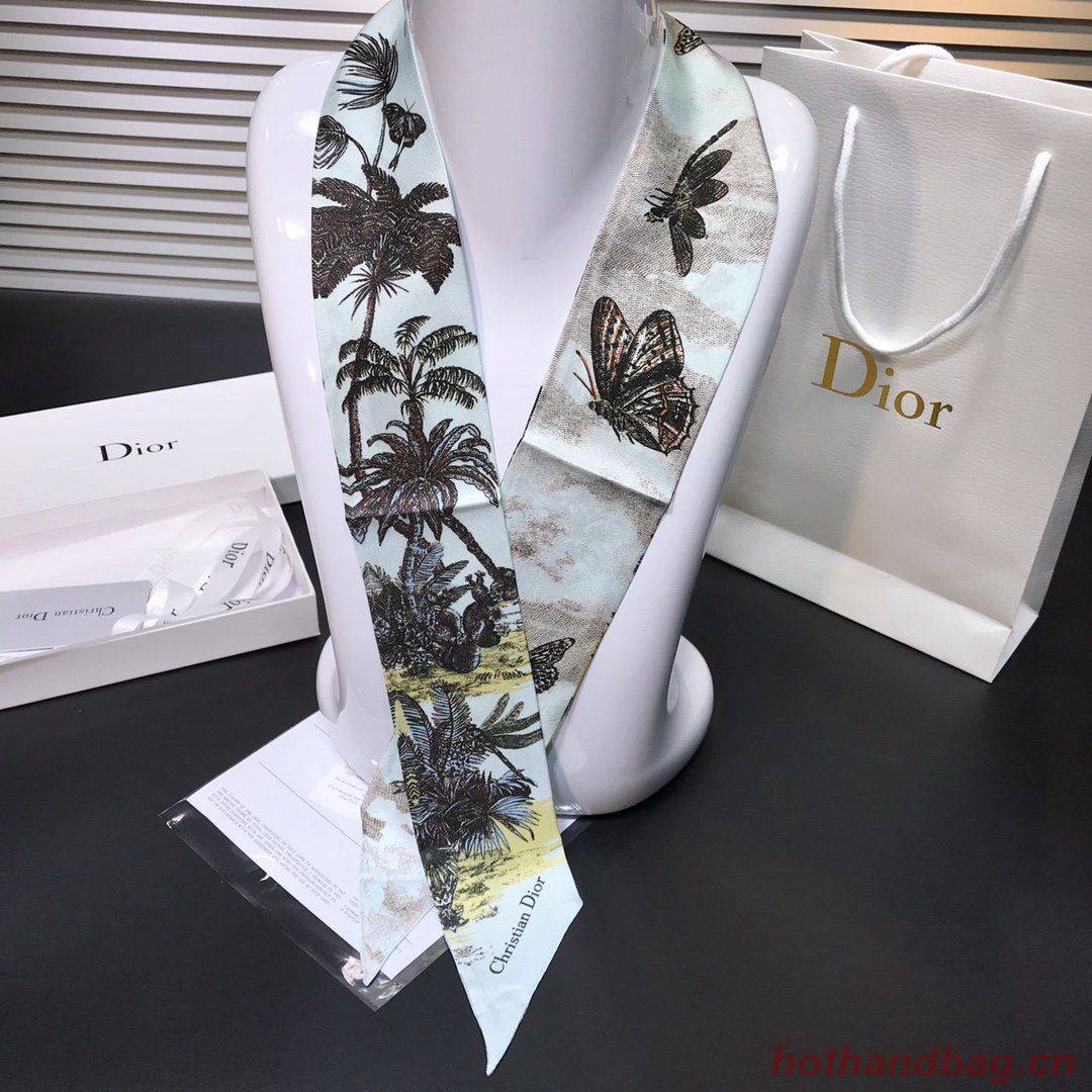Dior Scarf DIC00004
