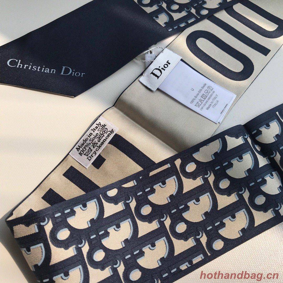Dior Scarf DIC00020 Dior Scarf DIC00020