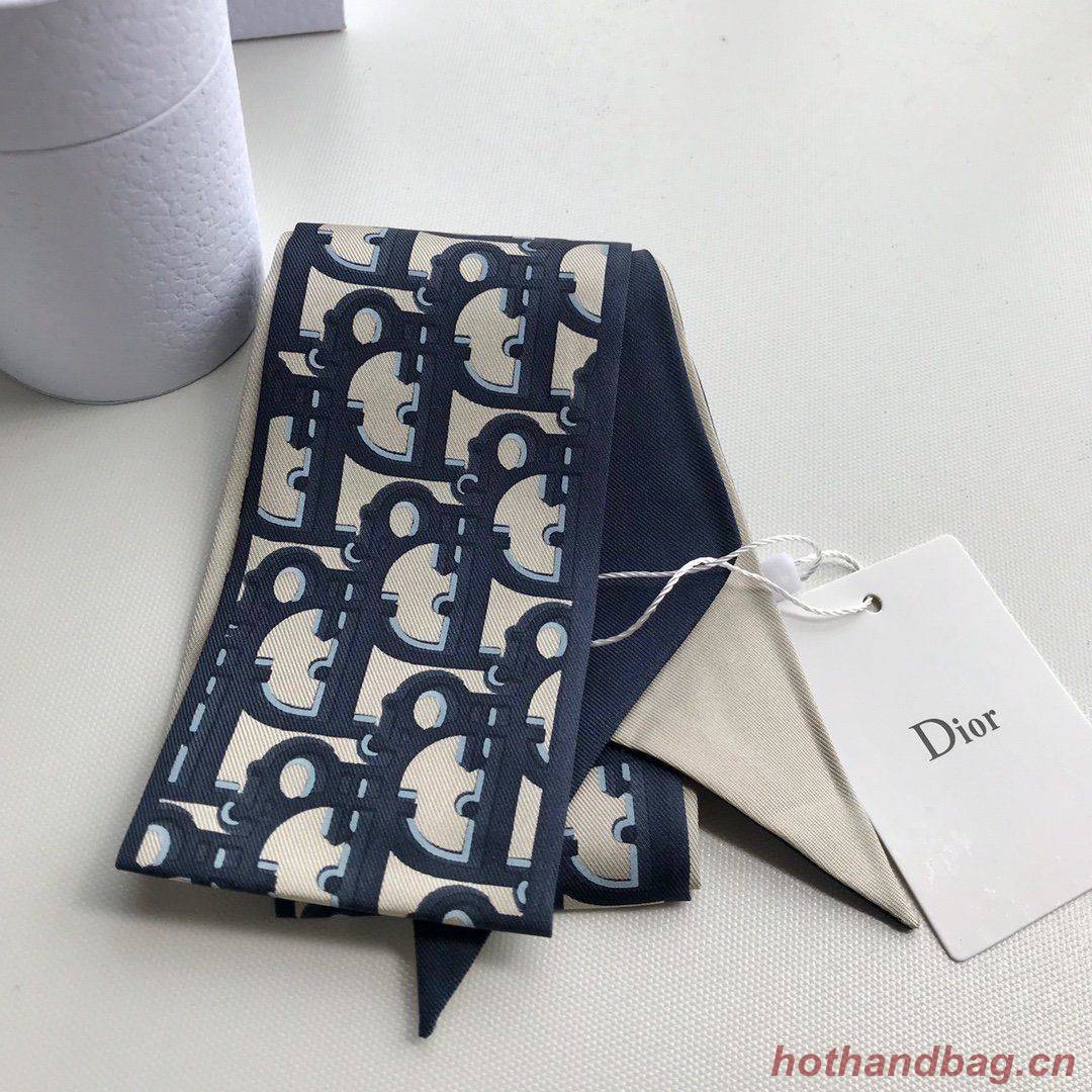 Dior Scarf DIC00020 Dior Scarf DIC00020