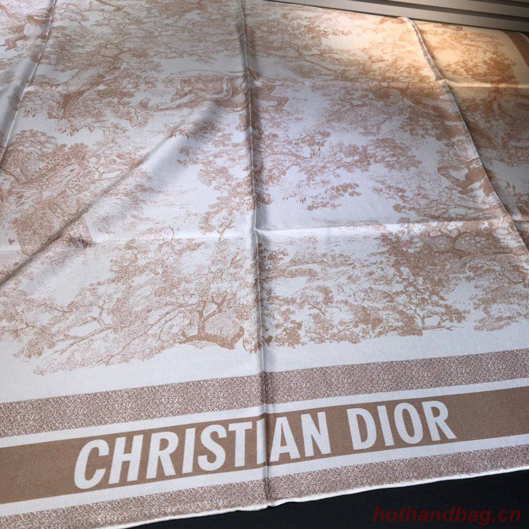 Dior Scarf DIC00059 Dior Scarf DIC00059