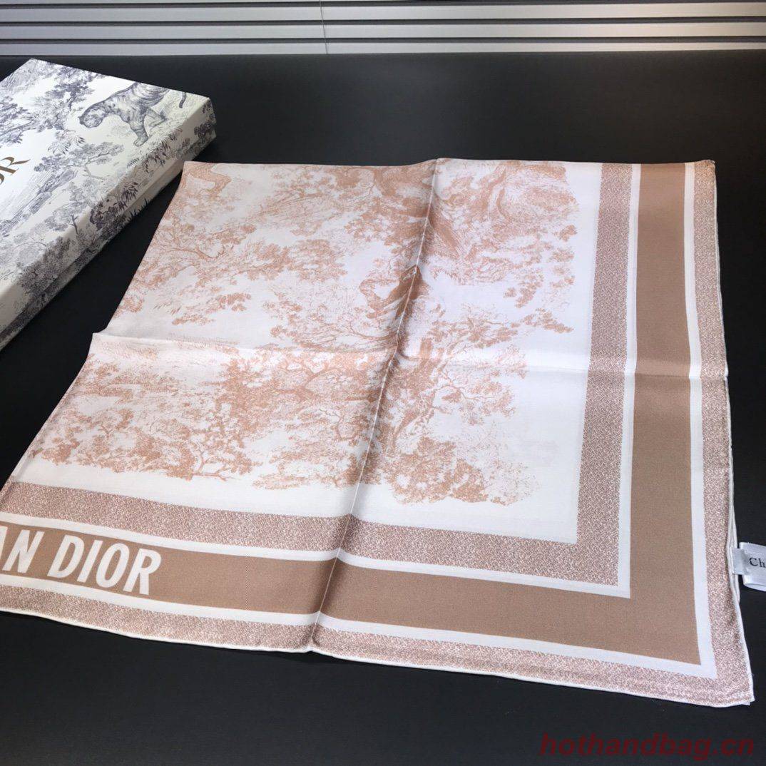 Dior Scarf DIC00059 Dior Scarf DIC00059
