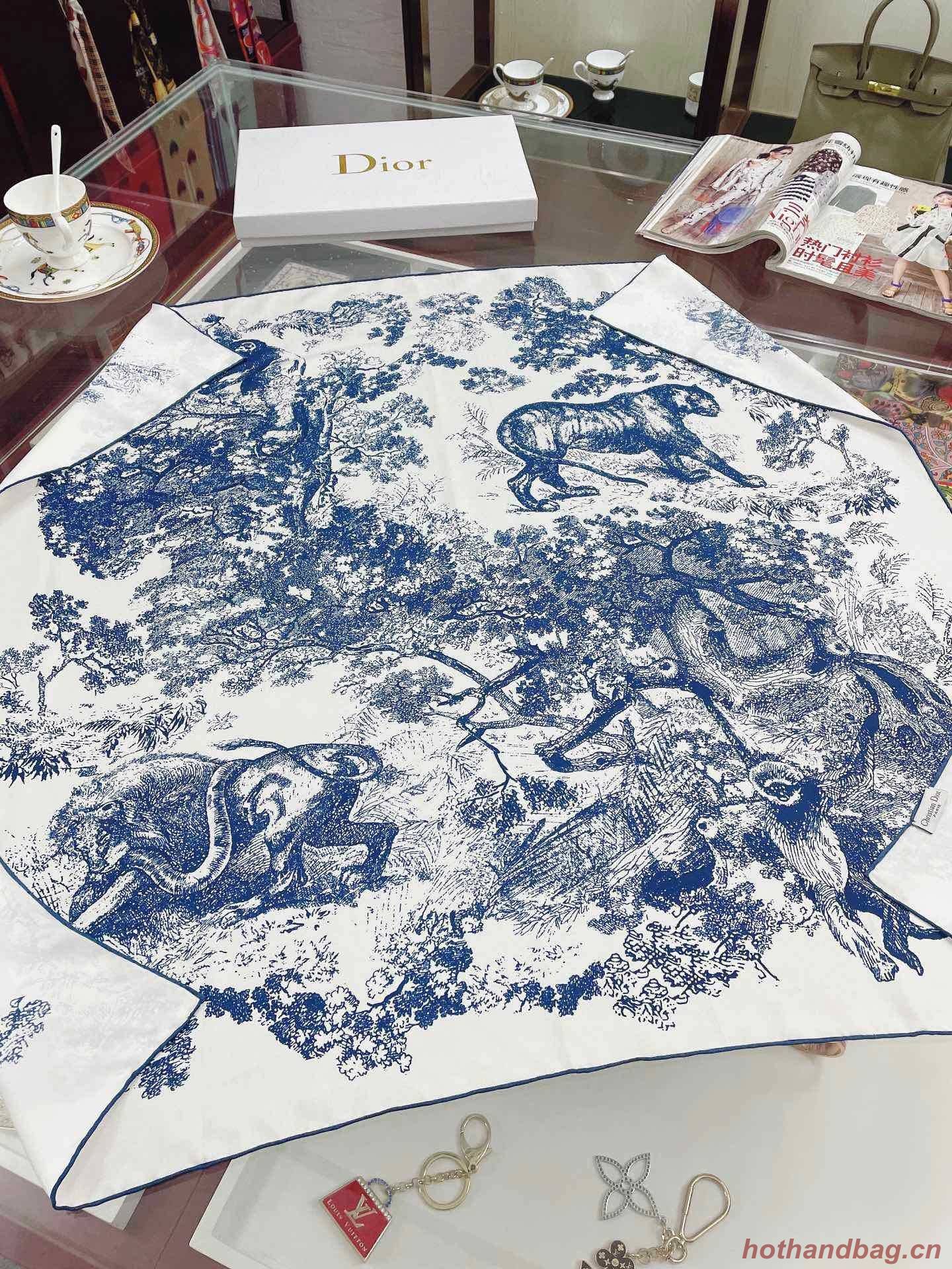 Dior Scarf DIC00061 Dior Scarf DIC00061