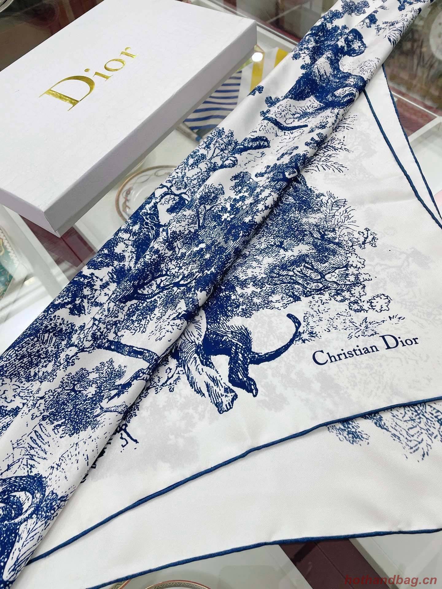 Dior Scarf DIC00061 Dior Scarf DIC00061