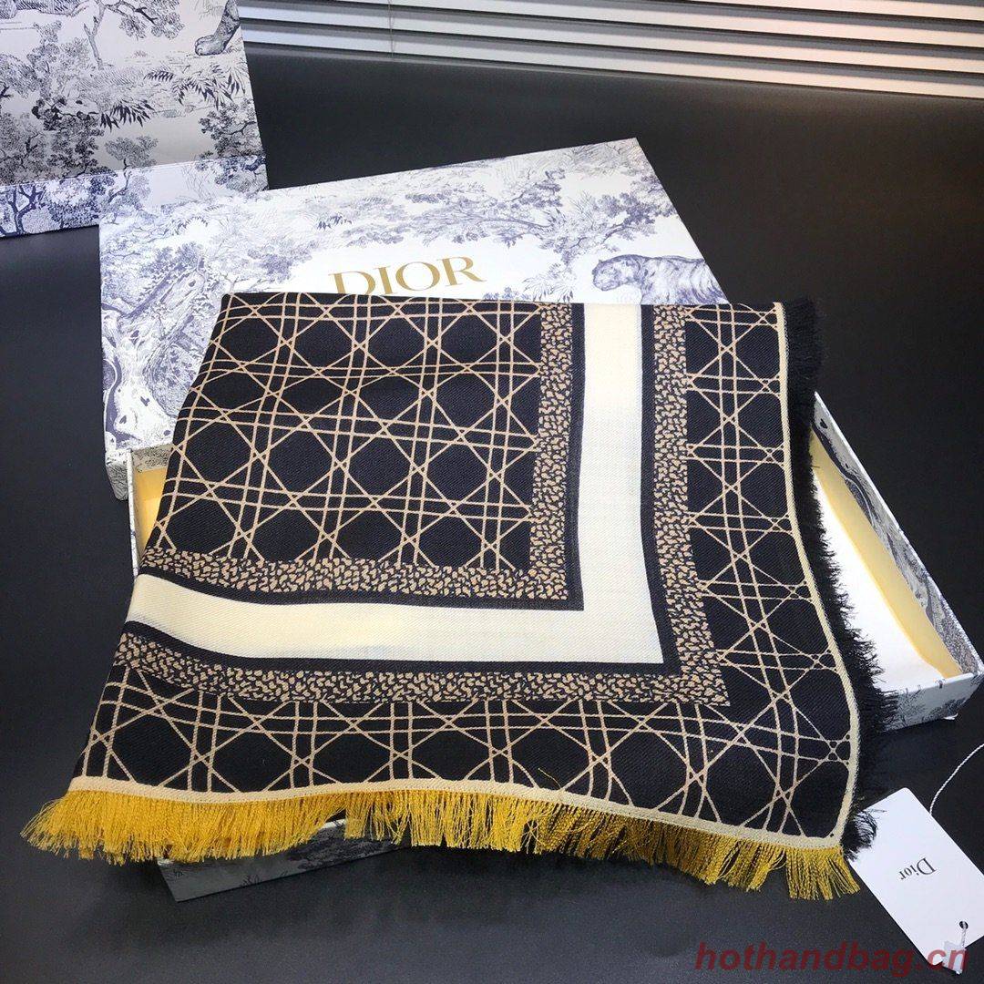 Dior Scarf DIC00130 Dior Scarf DIC00130