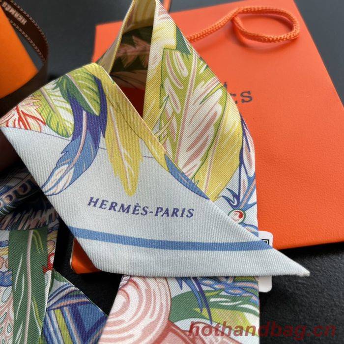 Hermes Scarf HEC00085 Hermes Scarf HEC00085