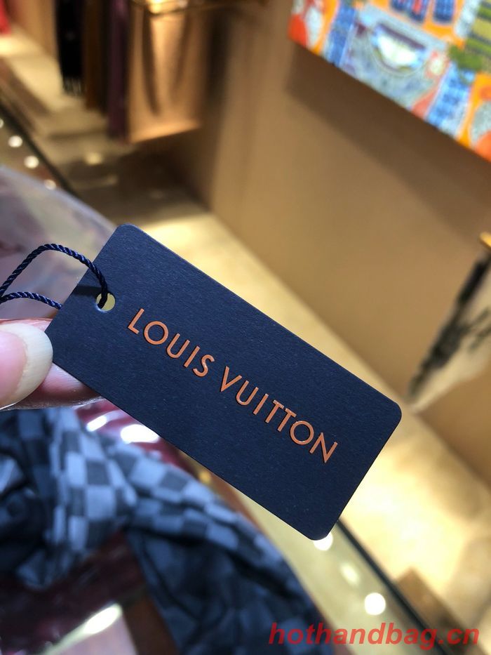Louis Vuitton Scarf LVC00174