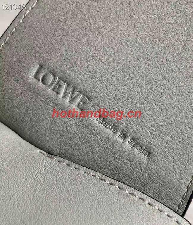 Loewe Original Leather Bag LE10188 light green