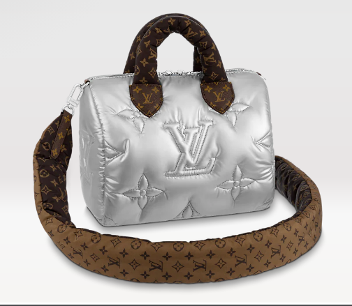 Louis Vuitton SPEEDY BANDOULIERE 25 M20973 Silver
