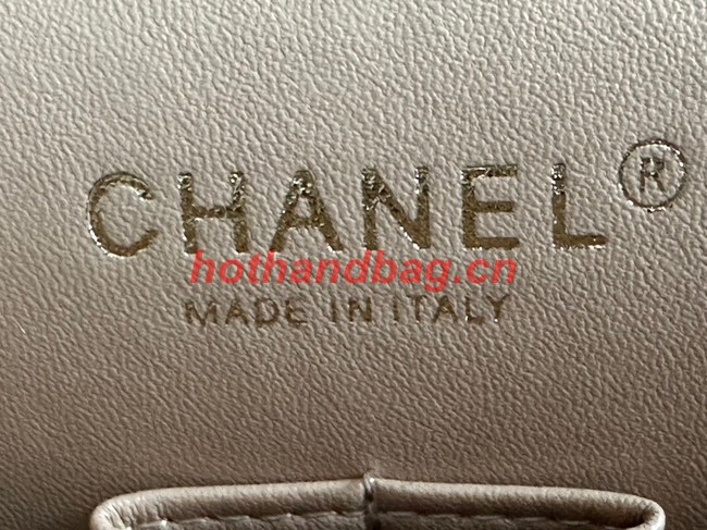 Chanel CLASSIC HANDBAG A01112-1